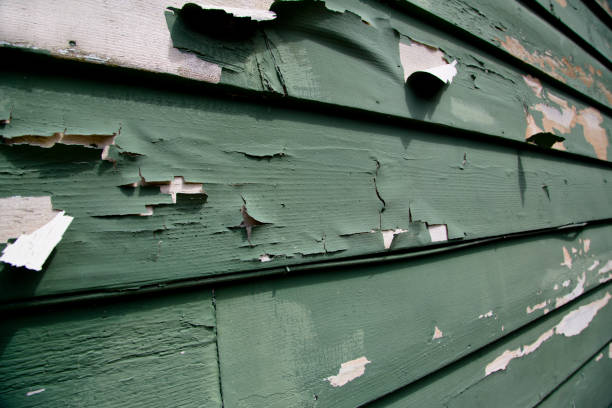 Affordable Siding Repair and Maintenance Services in Huron, SD